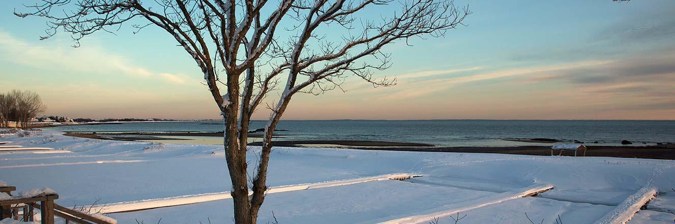 The Madison Foundation banner