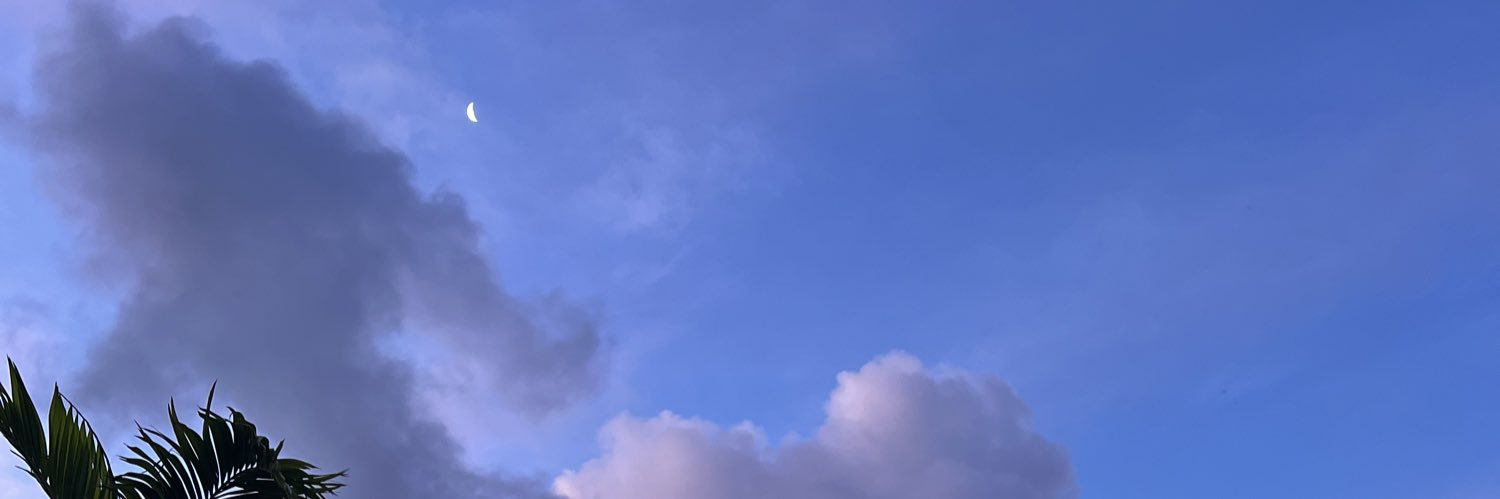 mdleri's profile banner image