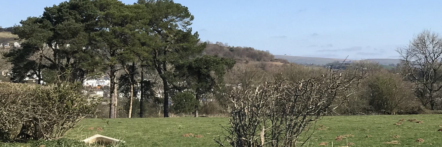 carolinethoma14's profile banner image