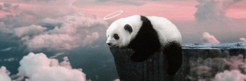 N_AlTanam's profile banner image
