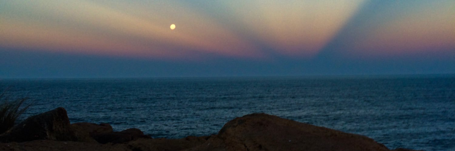 leticiaa_he's profile banner image