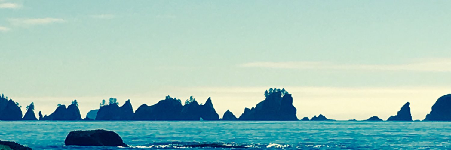 Rockinsuburbs banner