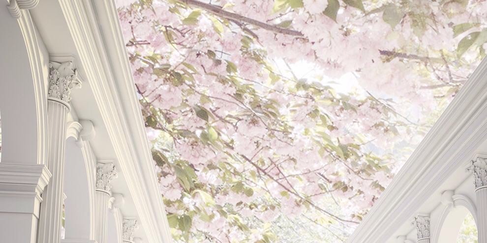 mona143215's profile banner image