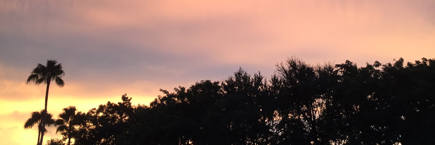 _laurensnider's profile banner image