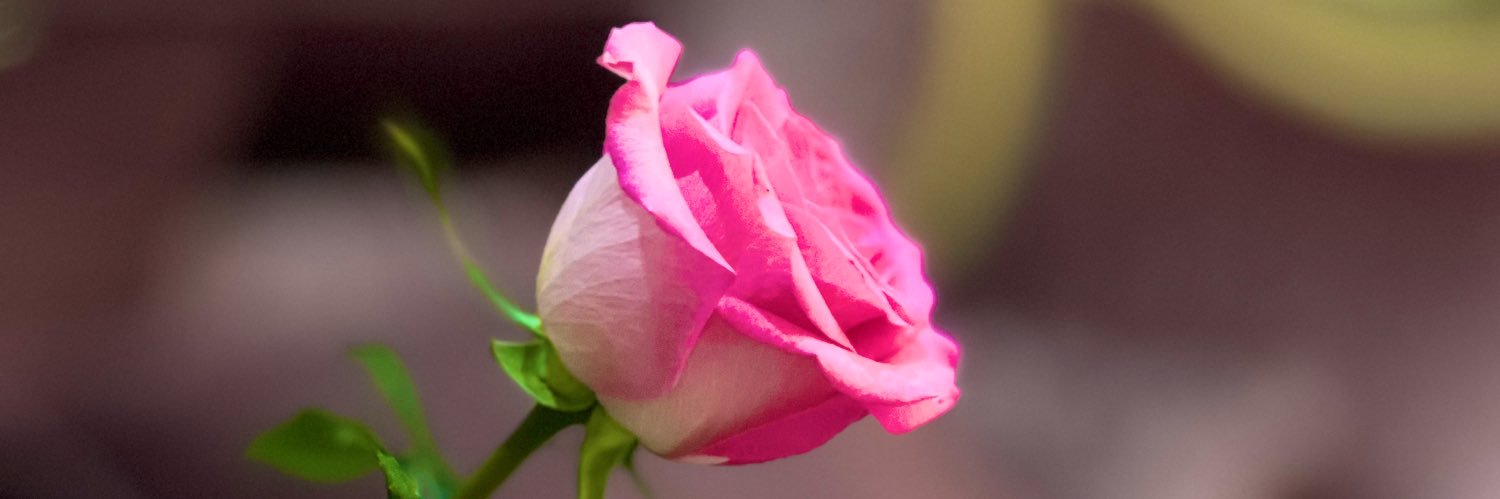 ℳ.عيون الكون.ℳ banner