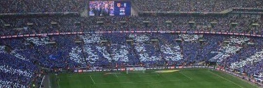 Anne Smith banner