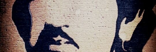 a801115's profile banner image