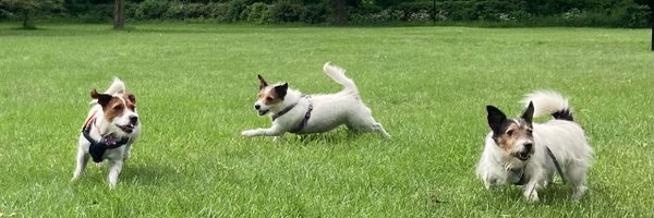 aadmichelle Profile Banner