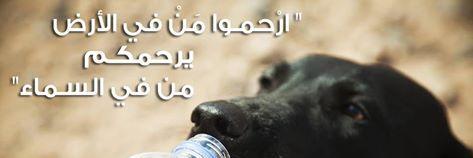 yaraadam's profile banner image