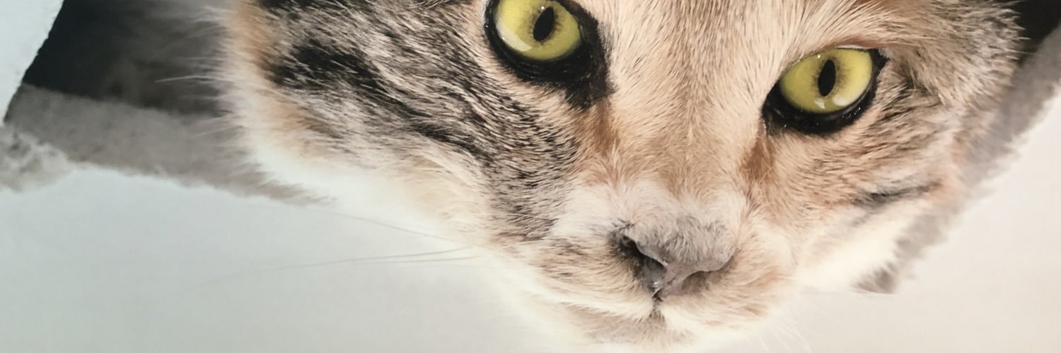 longformcitizen's profile banner image