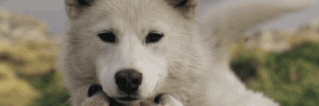 esevack's profile banner image