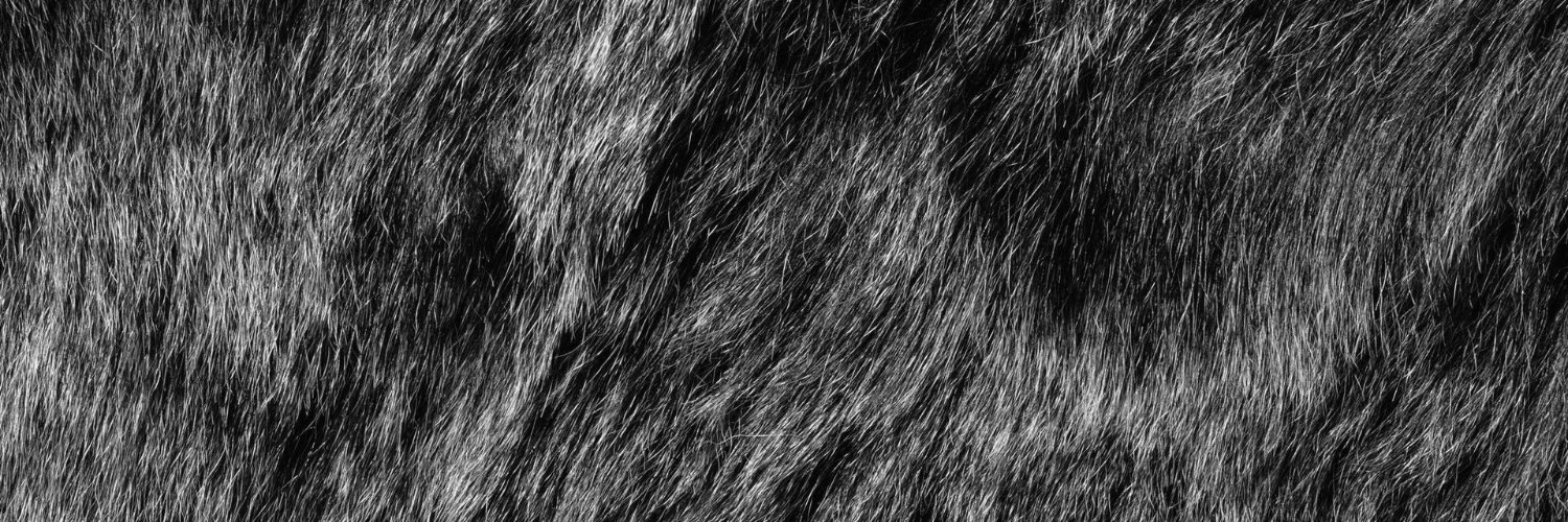 spancion's profile banner image