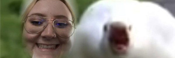 jennamassonx Profile Banner