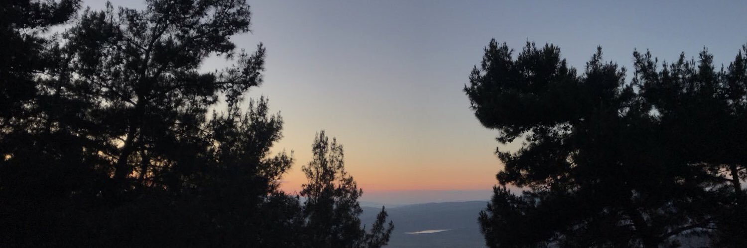 cydacelik's profile banner image