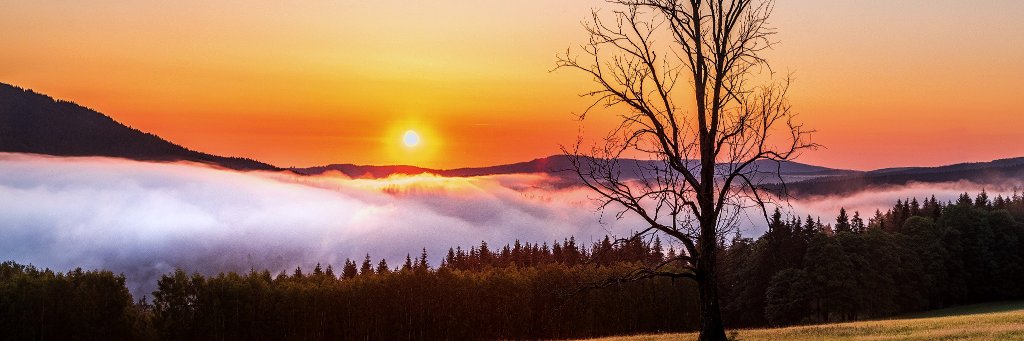 Pankysek's profile banner image