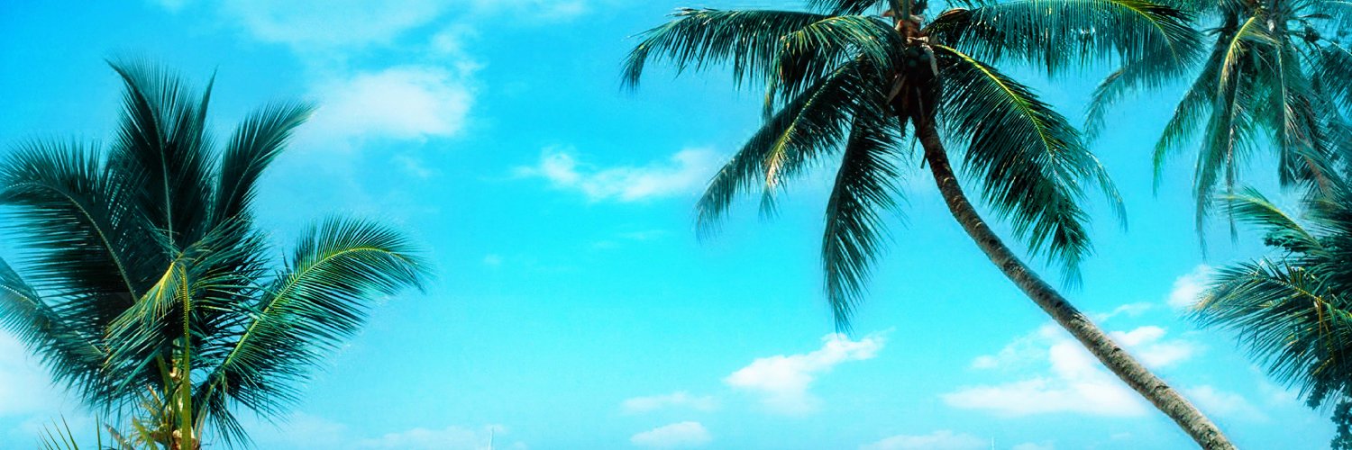 TragerMark33's profile banner image