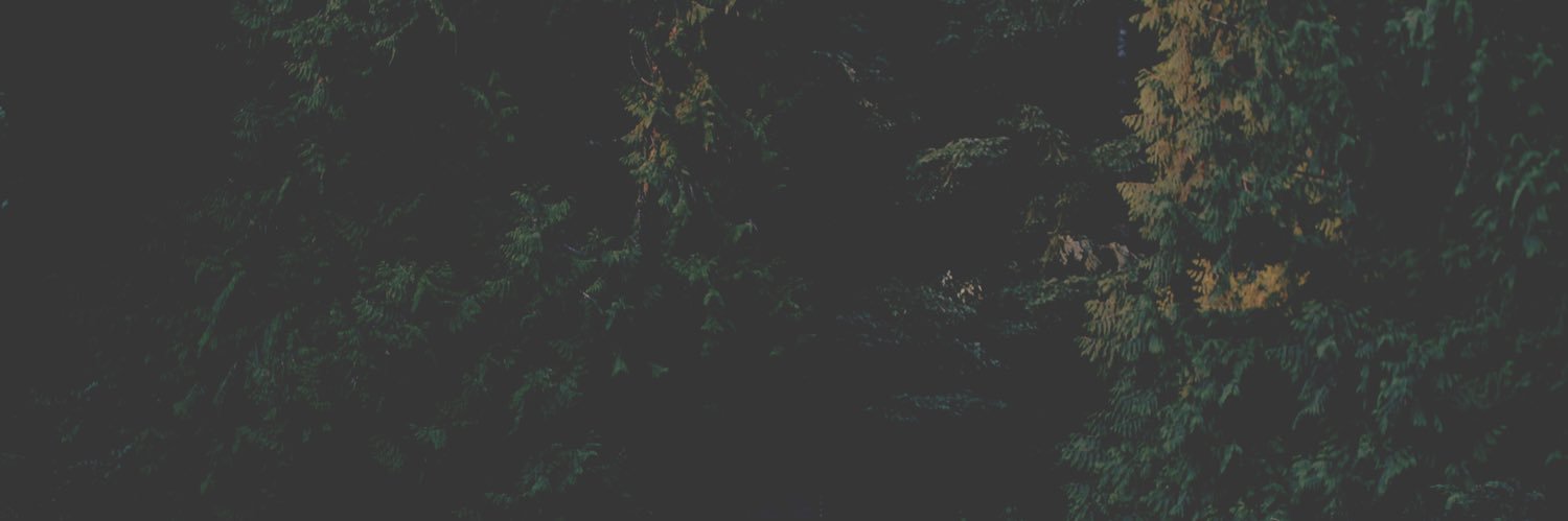 meganlessiter's profile banner image