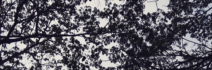 SaidMRidho's profile banner image