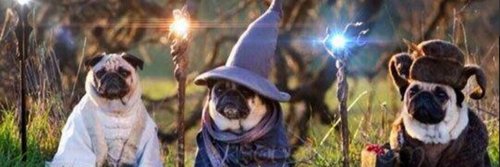 ULTIMATEwarriorBambo banner