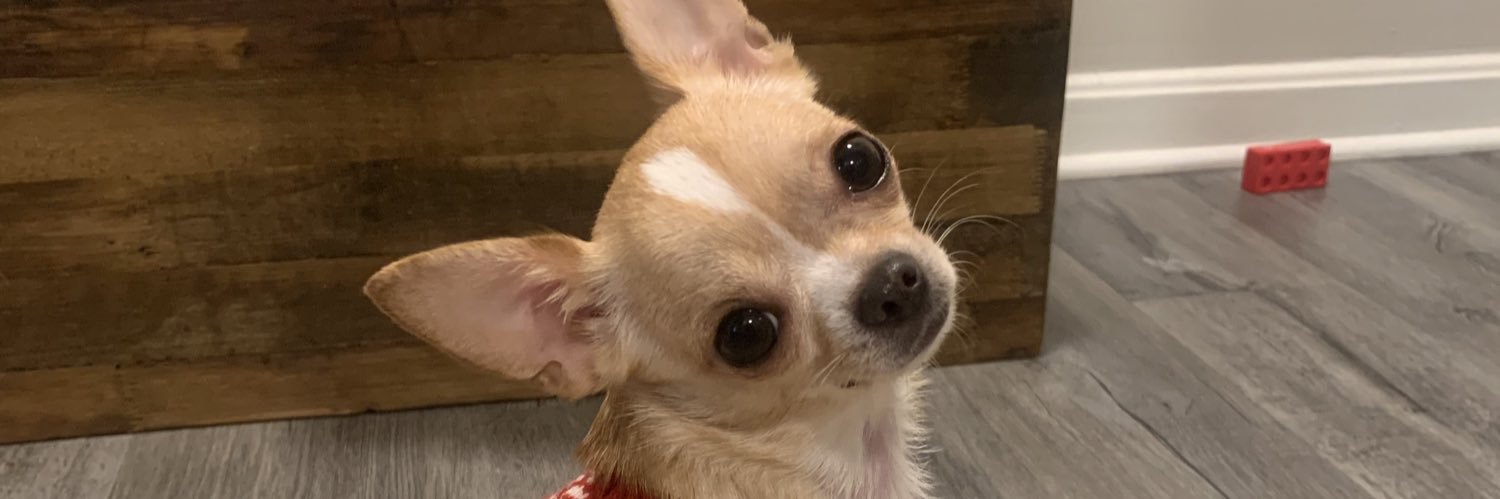 GraceLong2's profile banner image