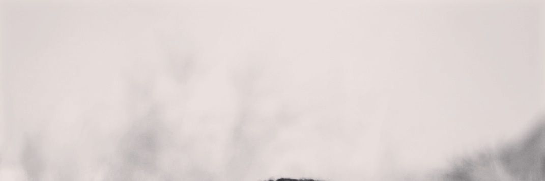 Palma96_'s profile banner image