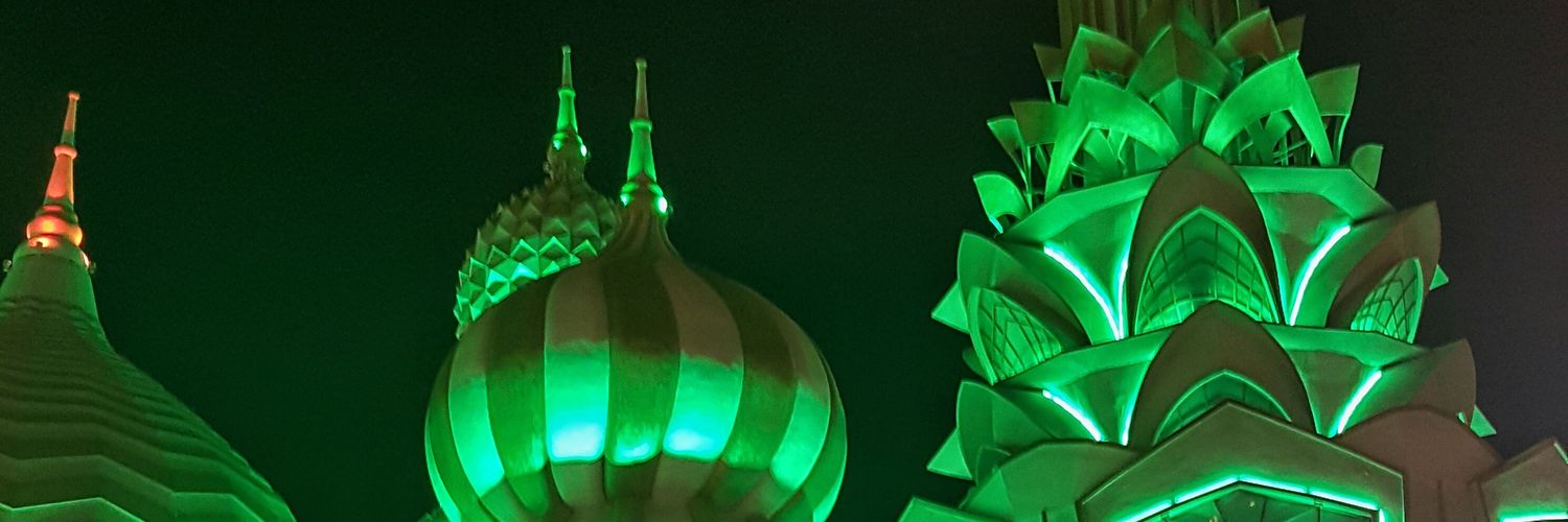 malshamsia's profile banner image