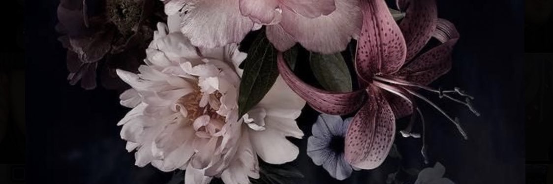 JessieRollison1's profile banner image