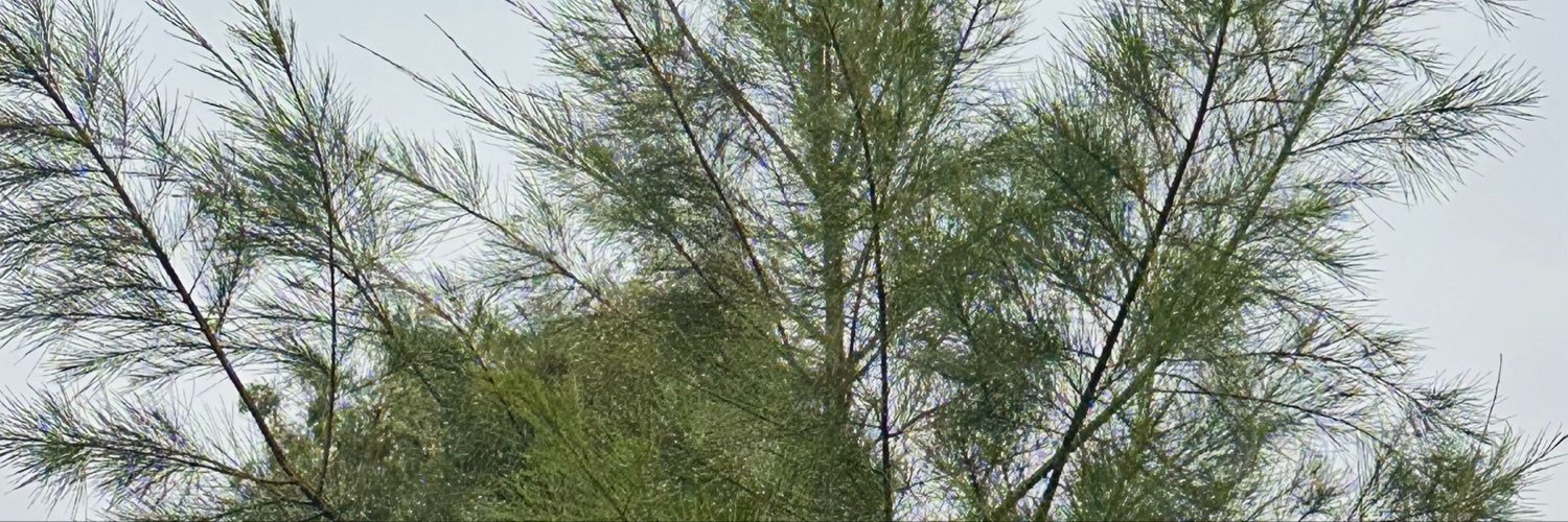 SFaty87's profile banner image