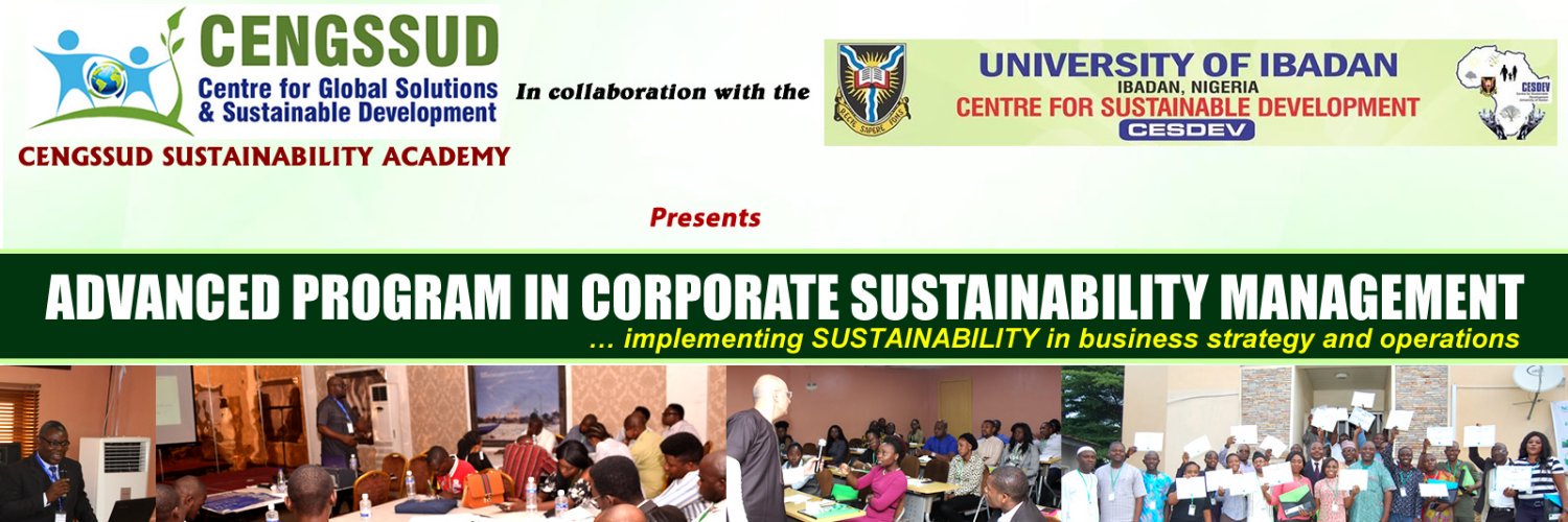 Centre for Global Solutions and Sustainable Devt banner