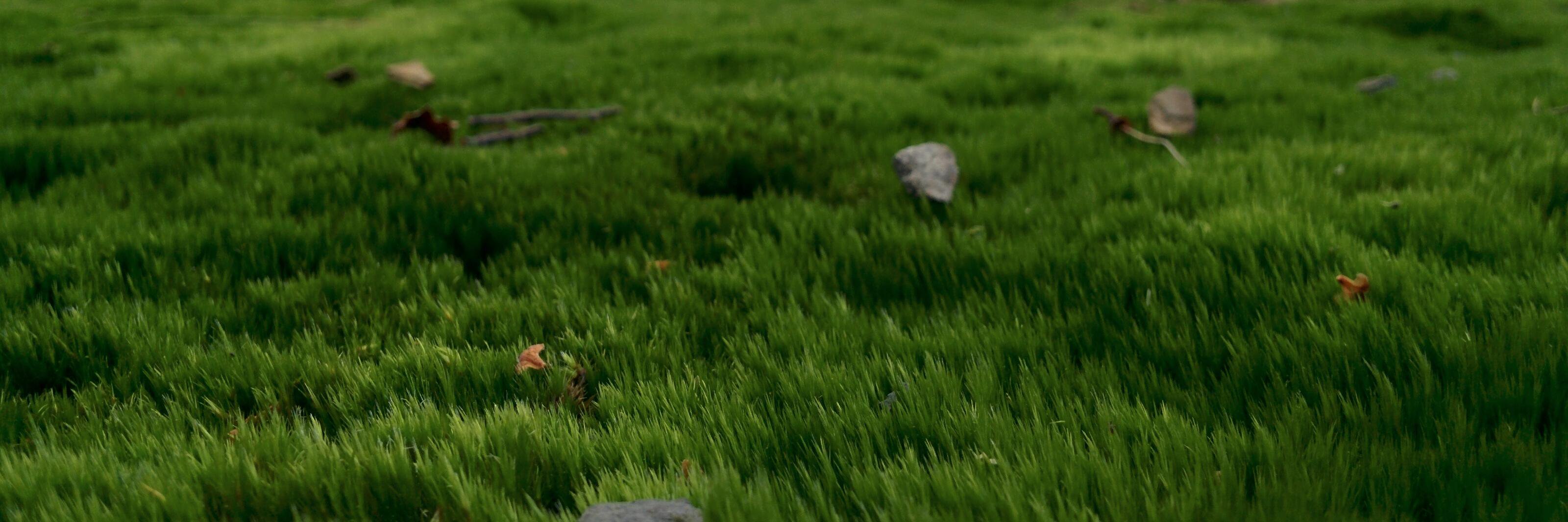 umruehren's profile banner image