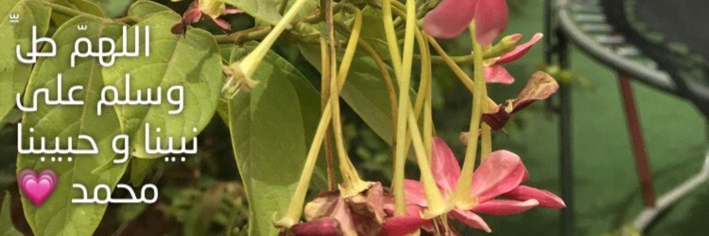 حصـہَ السعيدان banner