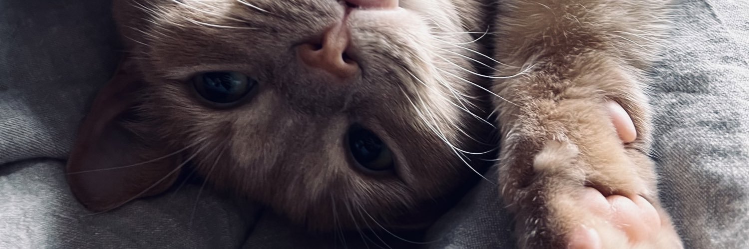 Ajewell03's profile banner image