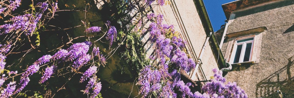 Melaverde_'s profile banner image