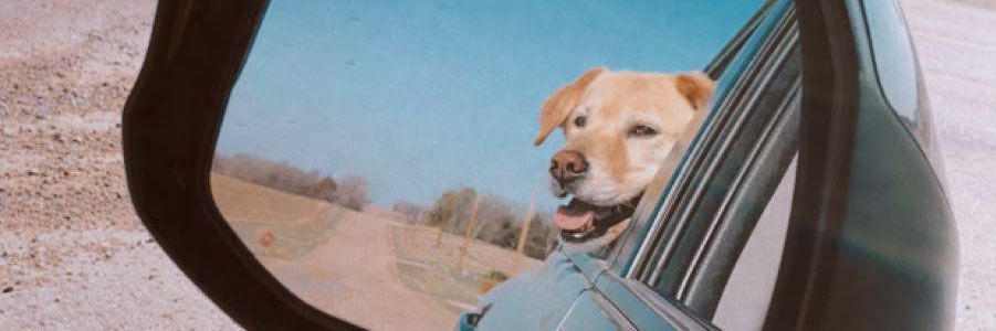 michaelabehn's profile banner image