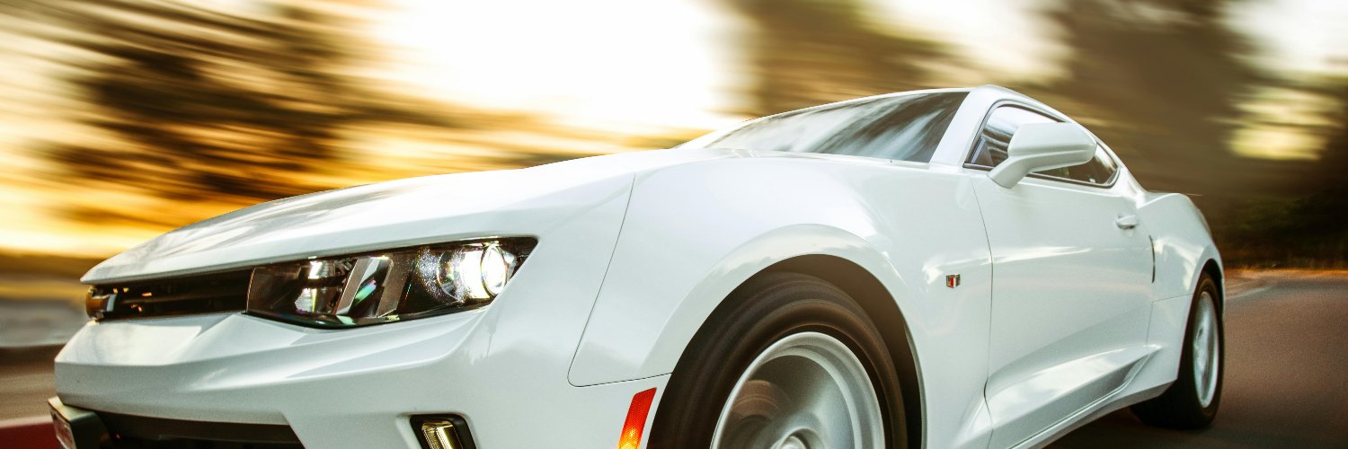 Fernanda Rodrigues banner