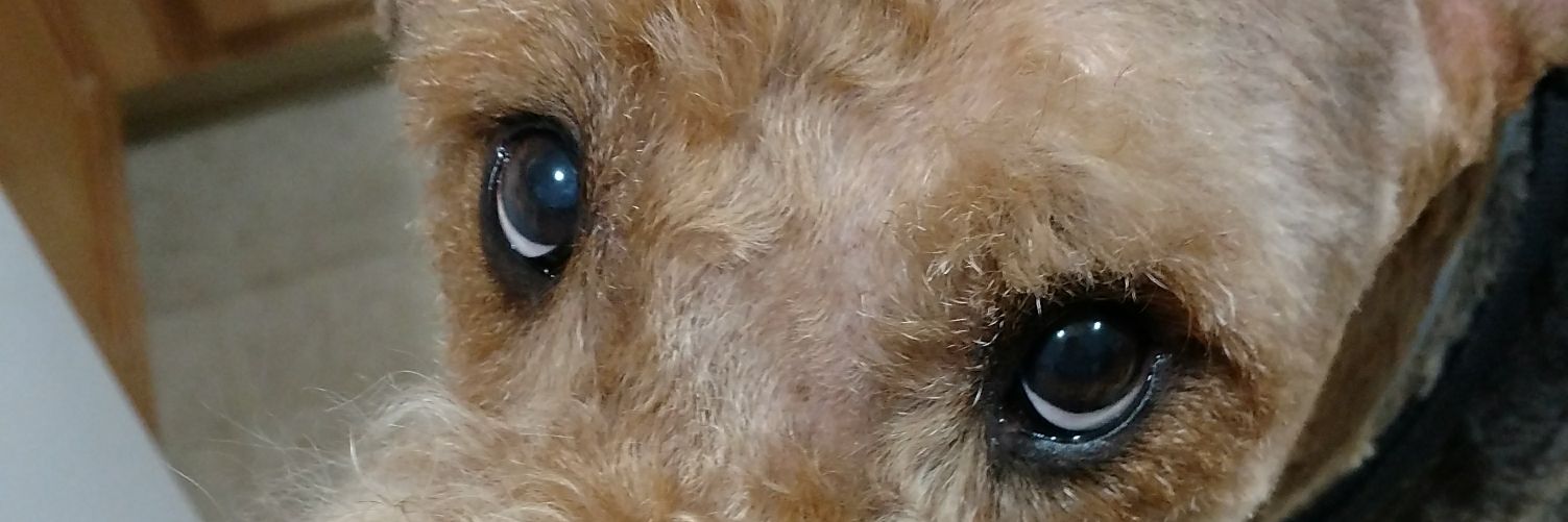 EFMorris's profile banner image