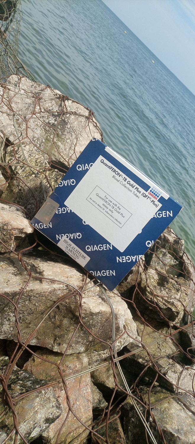 mutasaaga Benjamin ll banner