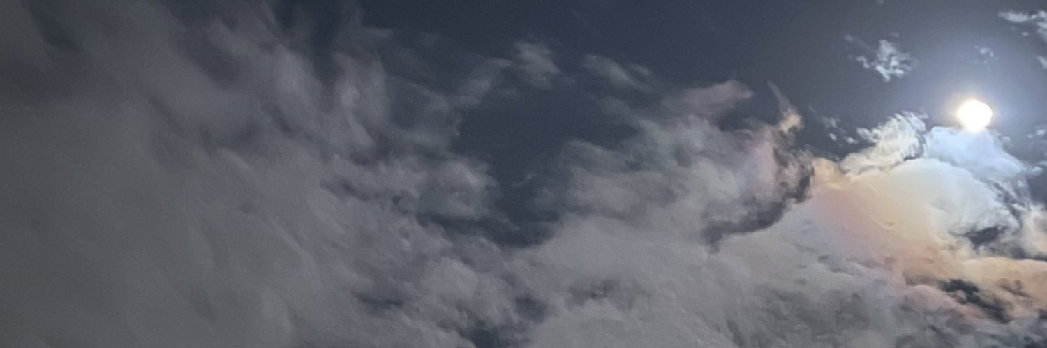 sarah_redaa's profile banner image