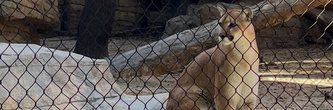 Not_AlexBregman's profile banner image