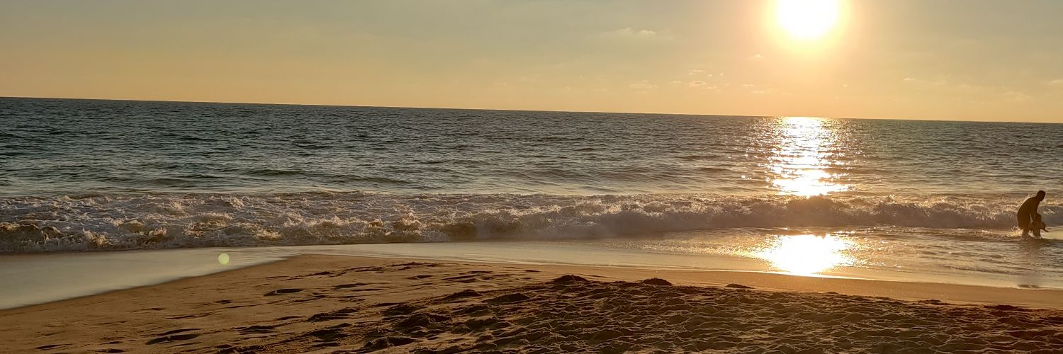Pandy98Momo's profile banner image