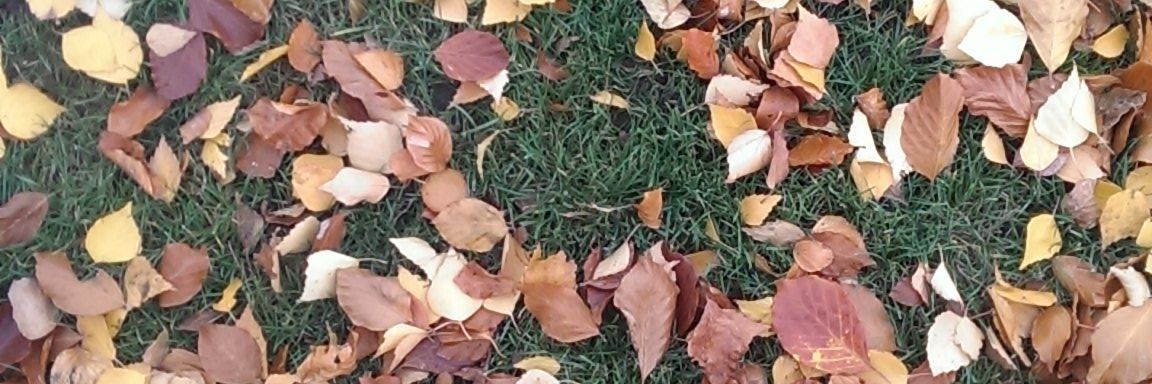 BenjaminDalgard's profile banner image