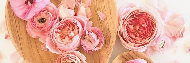 LucyLluu's profile banner image