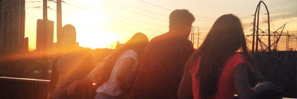 AmeliaKiener's profile banner image