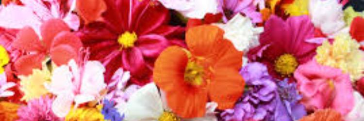 ToniWilliams21's profile banner image