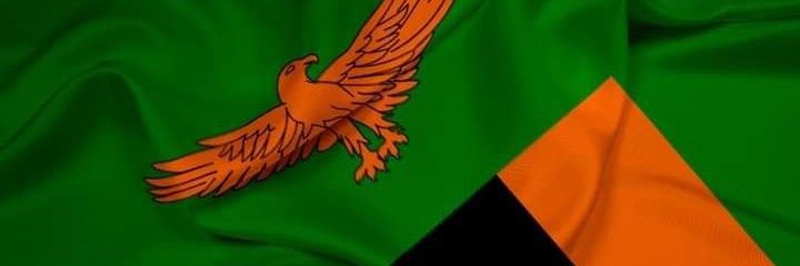 DavidMwaka's profile banner image