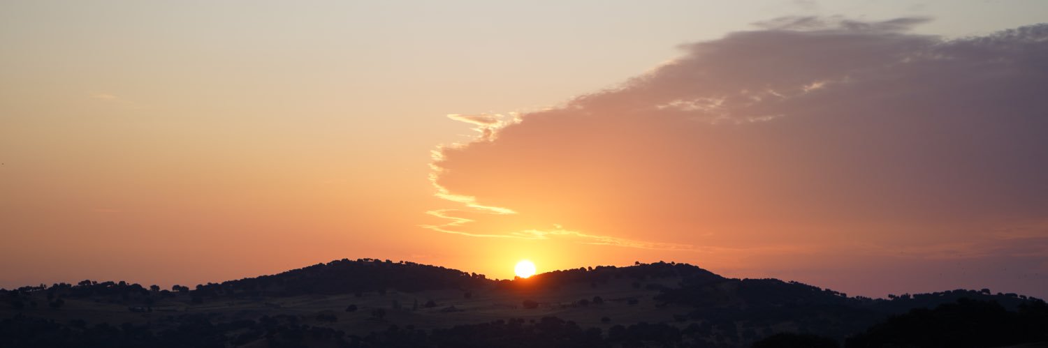 Margohe's profile banner image