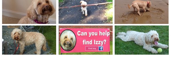 Dizzywizz2 Profile Banner