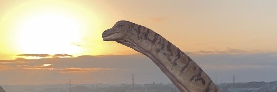 VeraaaYang's profile banner image