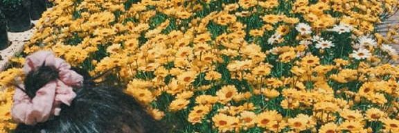 ra_arend's profile banner image