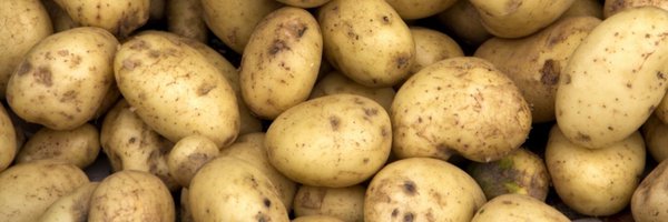 DamiDeMa Profile Banner